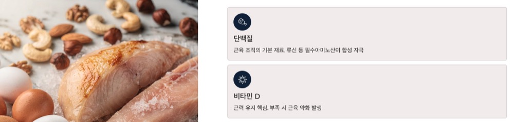 근육에 좋은 음식 영양소