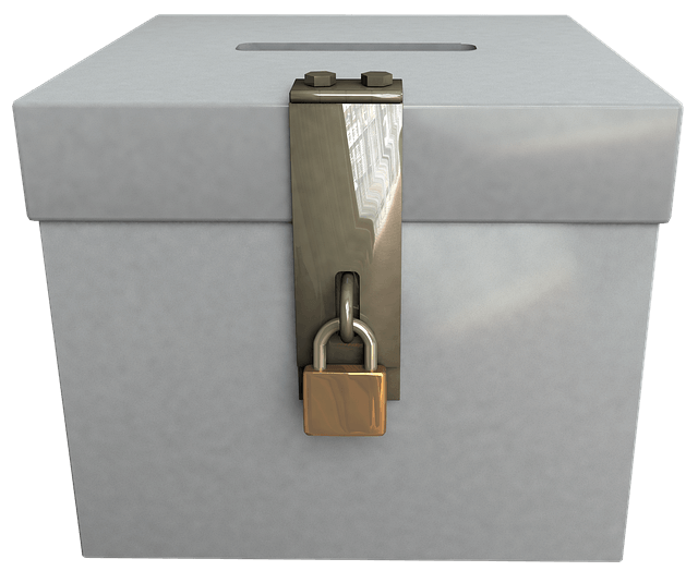 레임덕(Lame Duck) 뜻 그리고 사용법