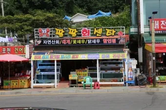 대포항 회센터 맛집 회거리 산책 주차 바다뷰 카페까지_20