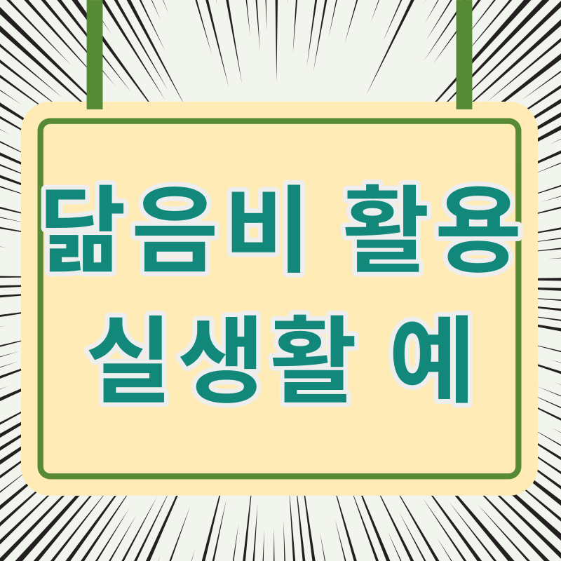 닮음비 실생활