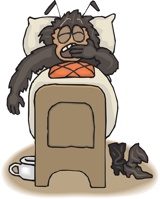 빈대 예방 방제 방법