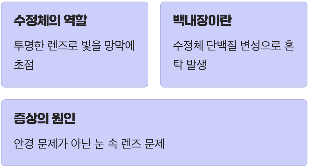 우리 눈의 카메라 렌즈, 수정체