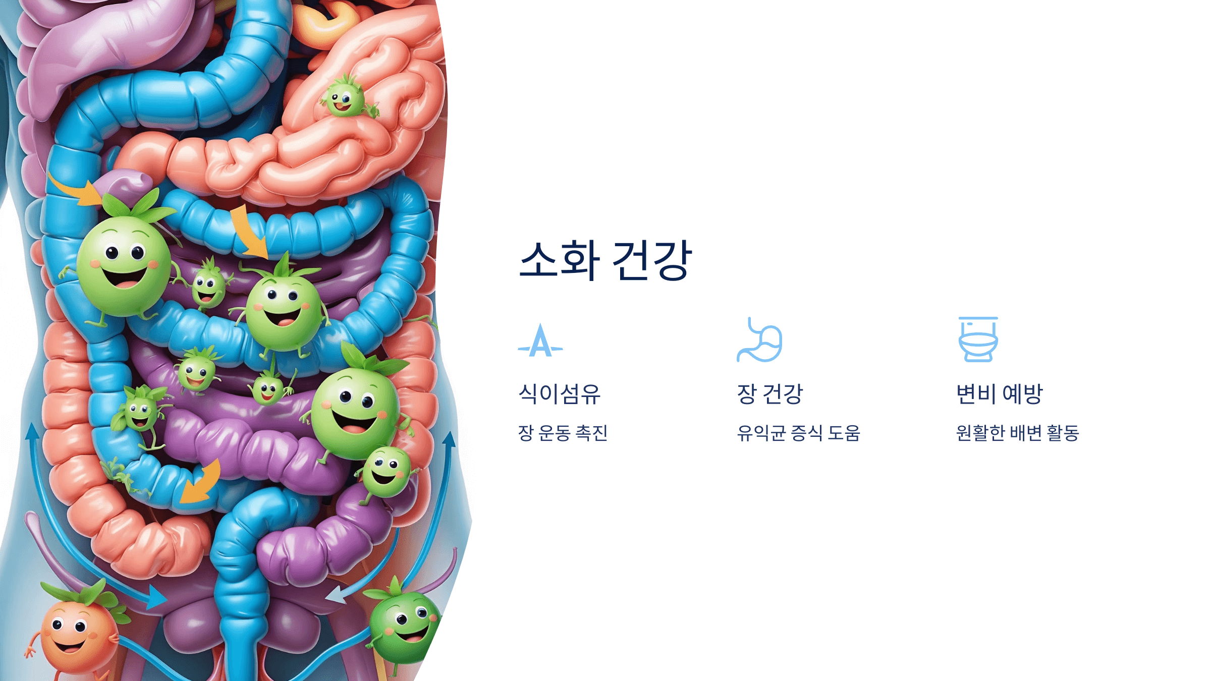 대마종자유와 관련된 사진입니다.
