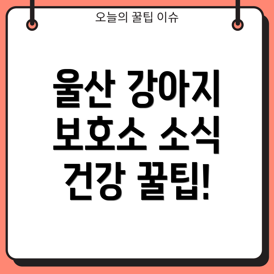 울산 강아지 보호소