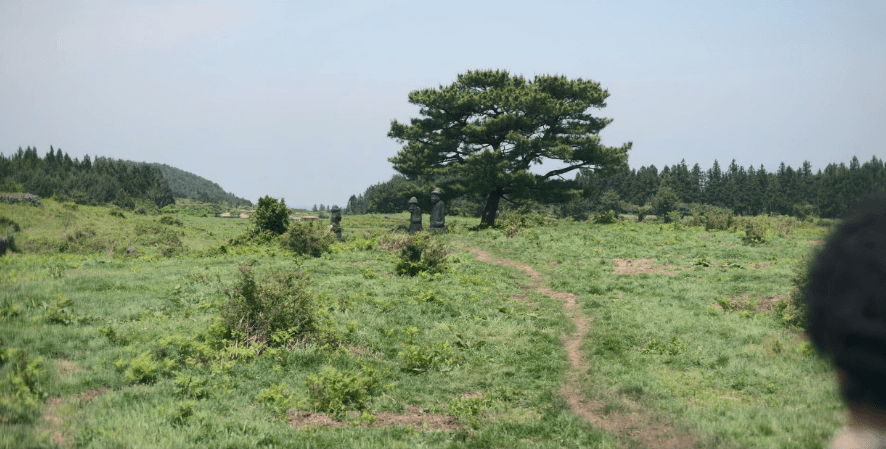 '폭싹 속았수다' 촬영지 제주도에서 어디?_2