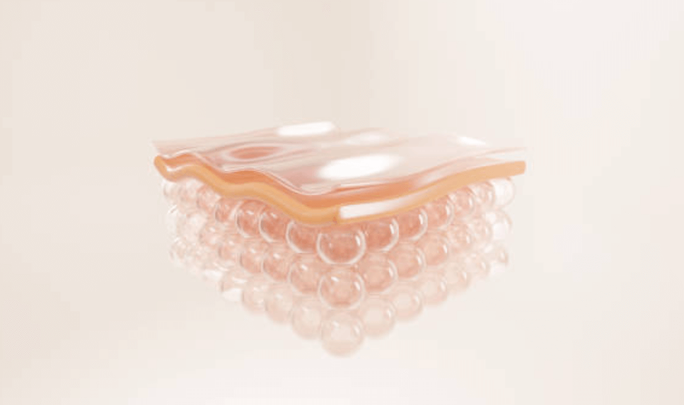 에버콜라겐 가격