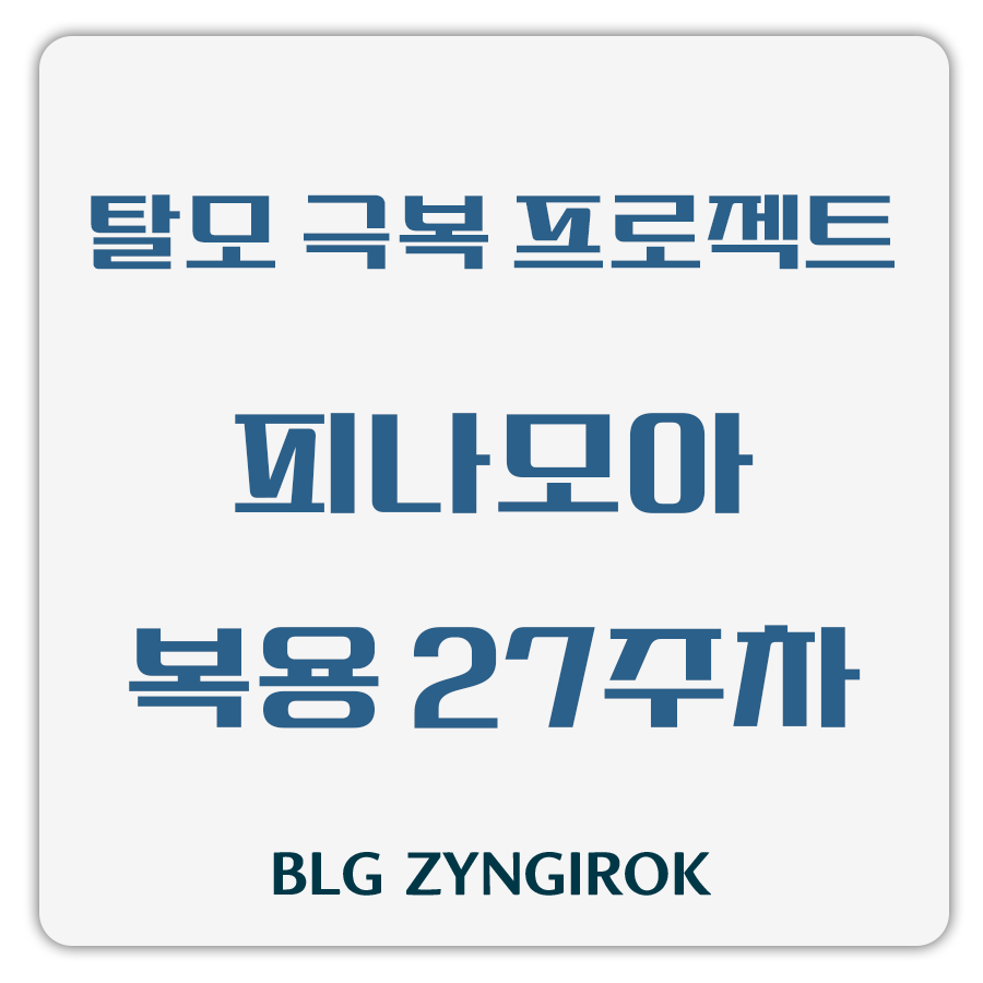 탈모 극복 프로젝트 - 피나모아 복용 27주차 썸네일 이미지이다.