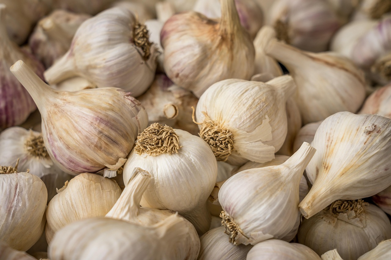 2026 온누리상품권 10% 할인 구매 방법: 정부 혜택&middot;한도&middot;사용처 총정리