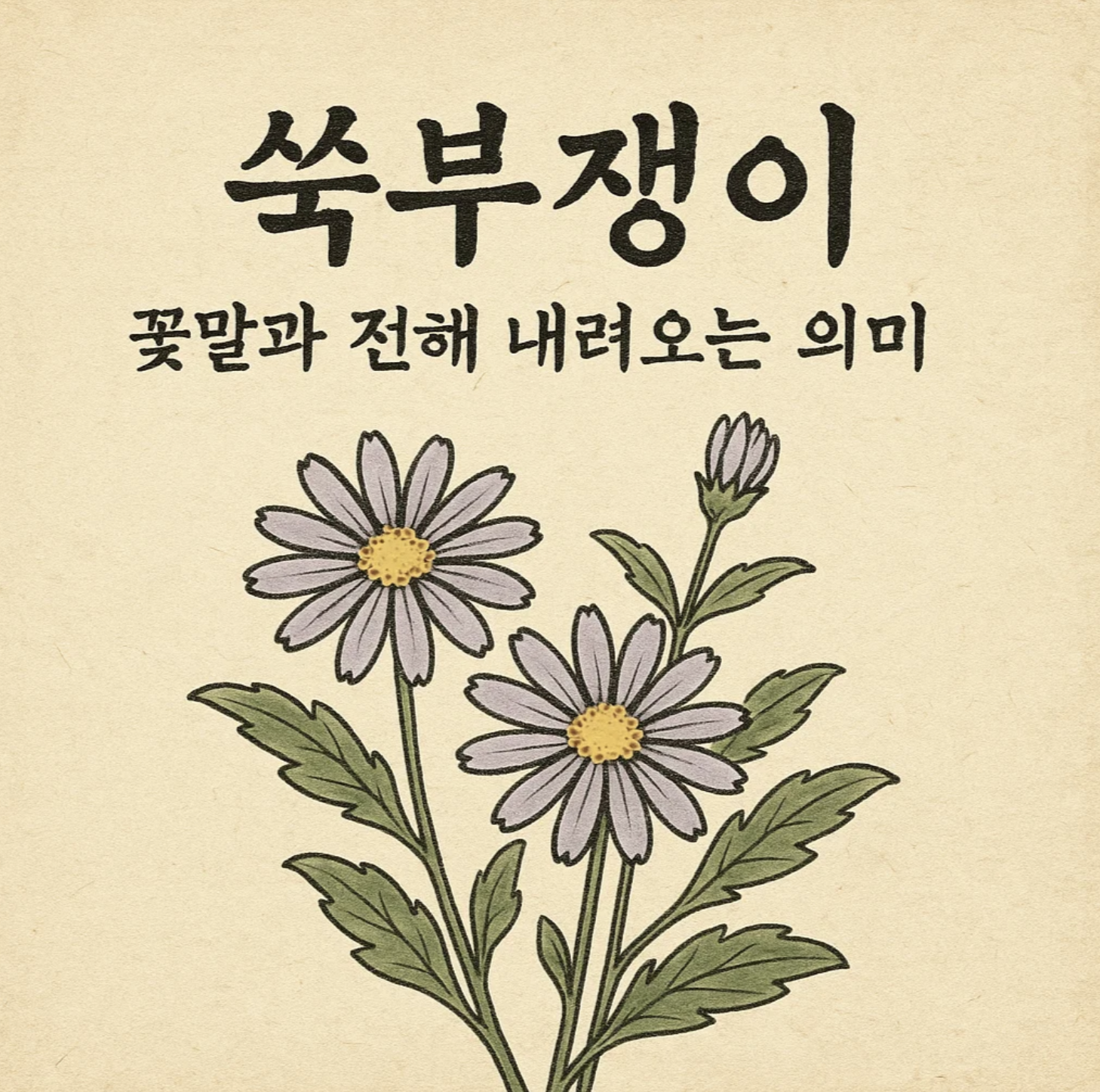 쑥부쟁이 꽃말과 전해 내려오는 의미