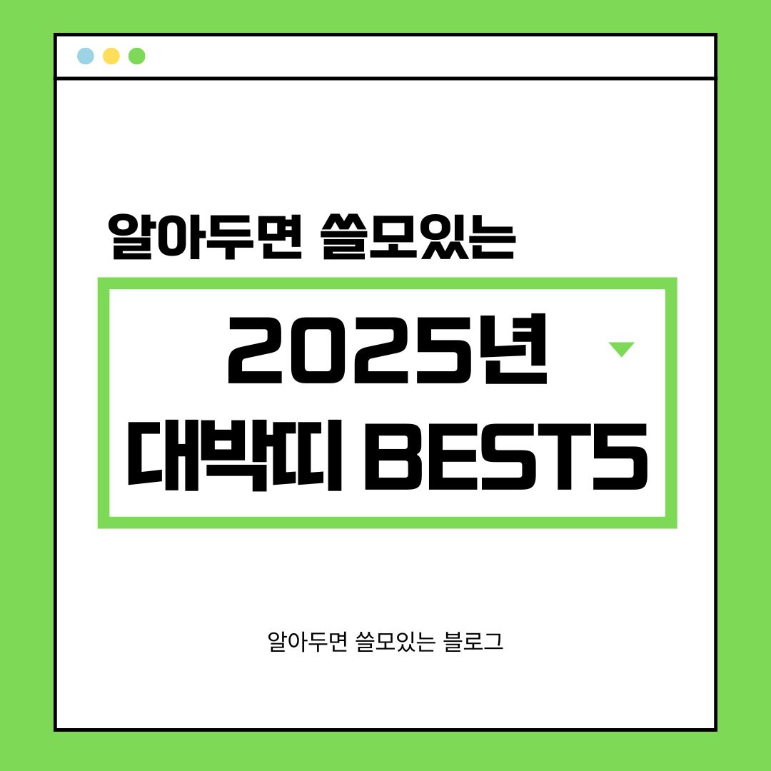 2025년 대박띠