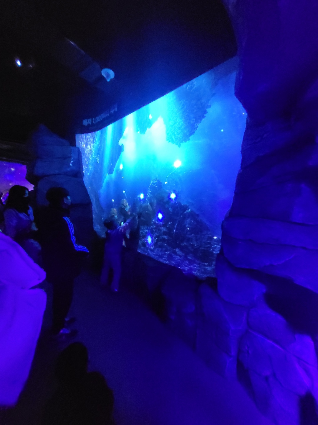 부산 아쿠아리움