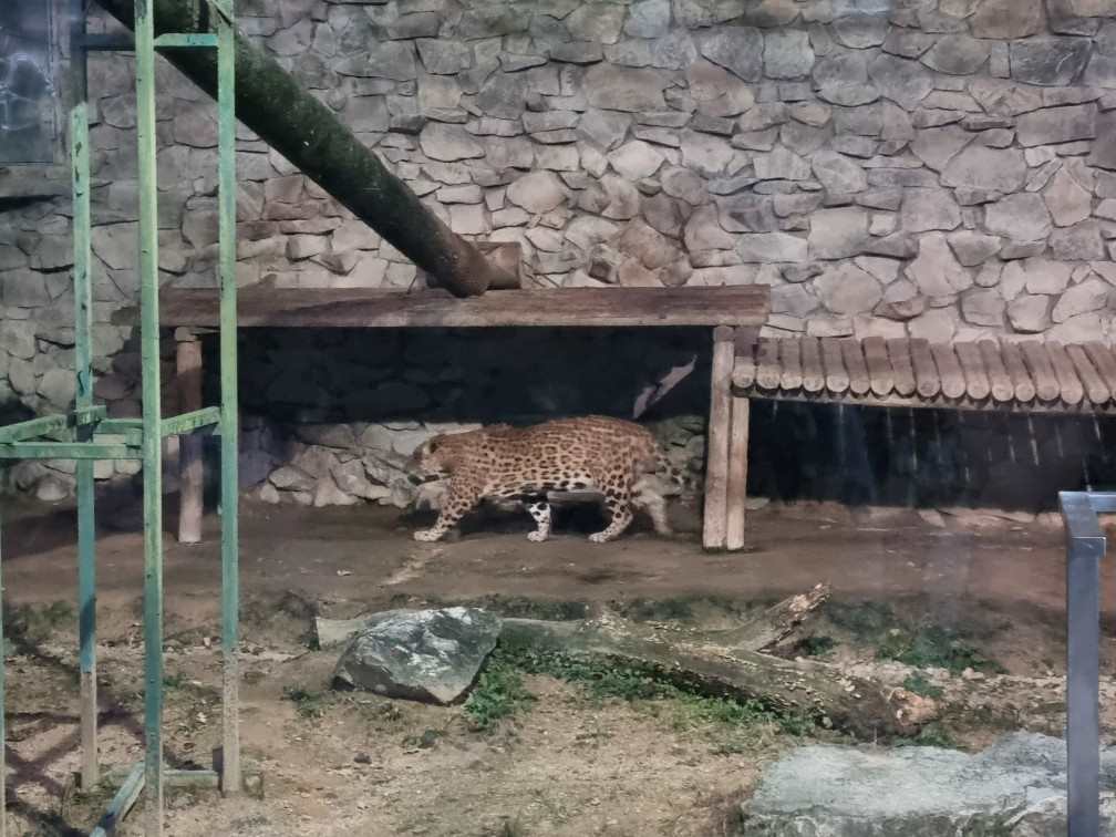 오월드 야간개장 동물원