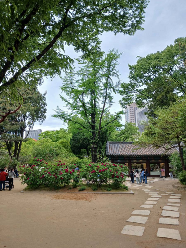 덕수궁 초입 풍경