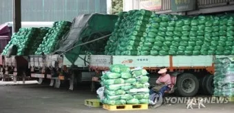 가락동 농산물 경매시세 실시간 확인 완벽 농산물 정보_10