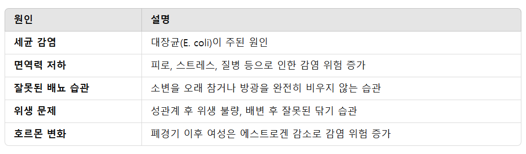 방광염 원인