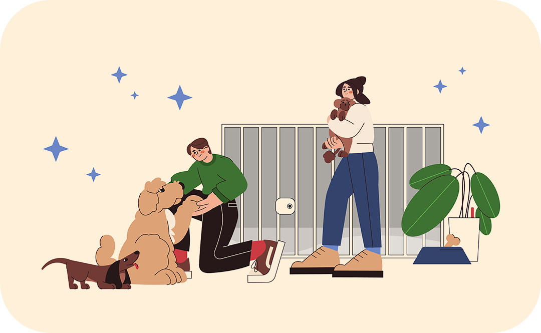 #유기견 #유기견봉사 #유기견보호소 #유기견입양