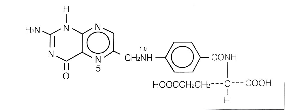 엽산의 구조