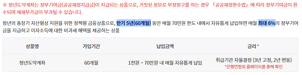 청년 도약계좌 완벽 정리: 미래를 위한 첫걸음