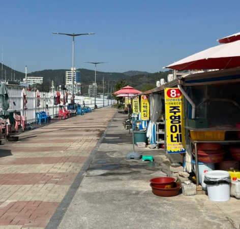 [6시 내고향] 부산 기장 대변항 대변 파래장 해녀촌&amp;#44; 해산물 전복죽&amp;#44; 계란호떡&amp;#44; 짚불곰장어구이 정보 