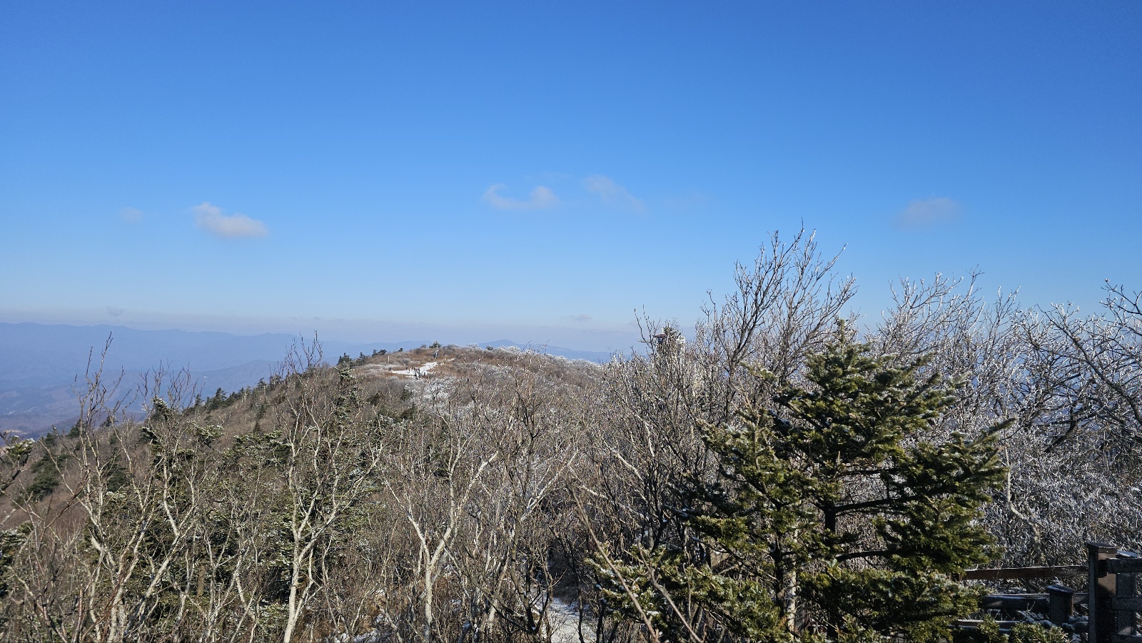 [36개월 아들과 함께 평화봉]