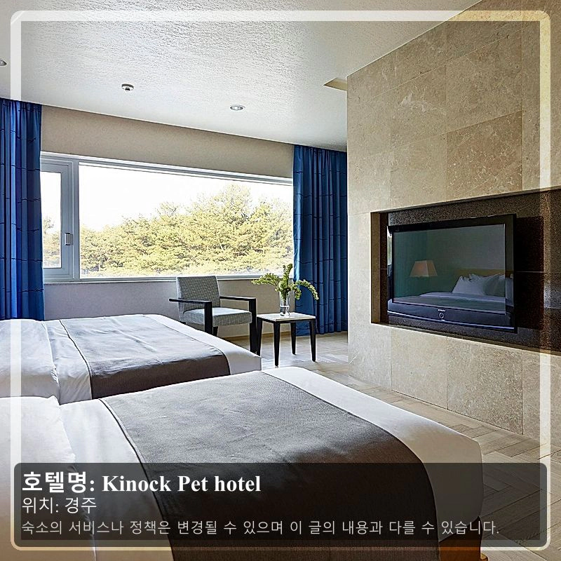 Kinock Pet hotel_2