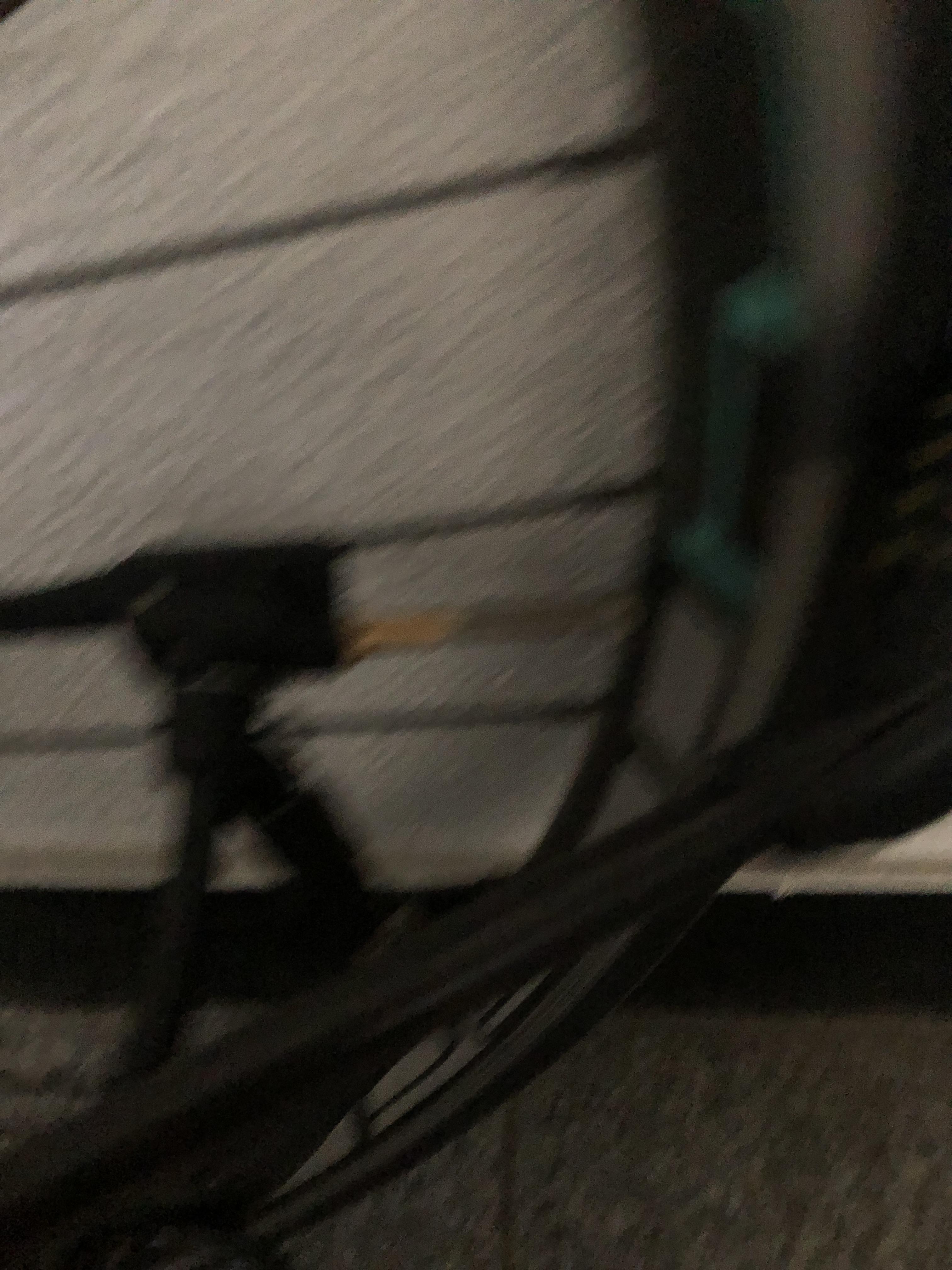 프레스타 바람넣기