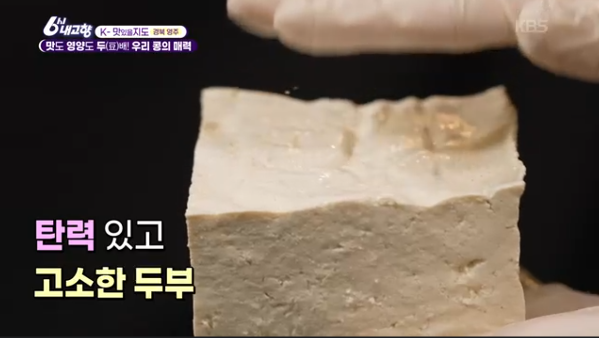 국산 콩(6시내고향 k맛있을지도)