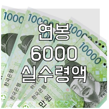 연봉 6000 실수령액