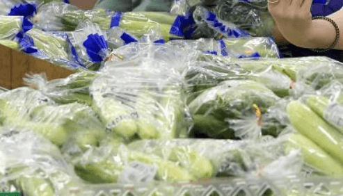 포장된 오이가 마트 진열대에 진열되어있는 장면