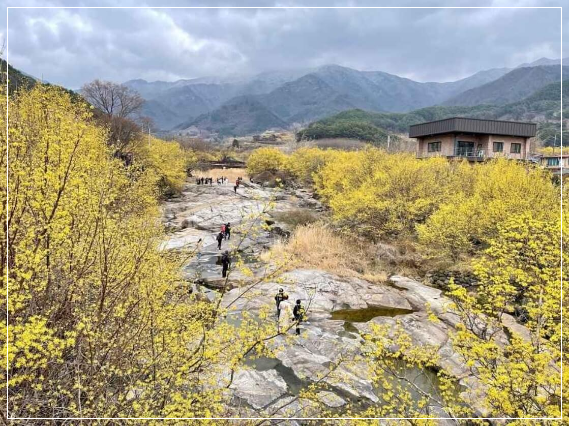 구례 가볼만한곳 베스트10 구례산수유마을