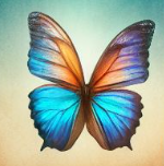 2024근로장려금신청