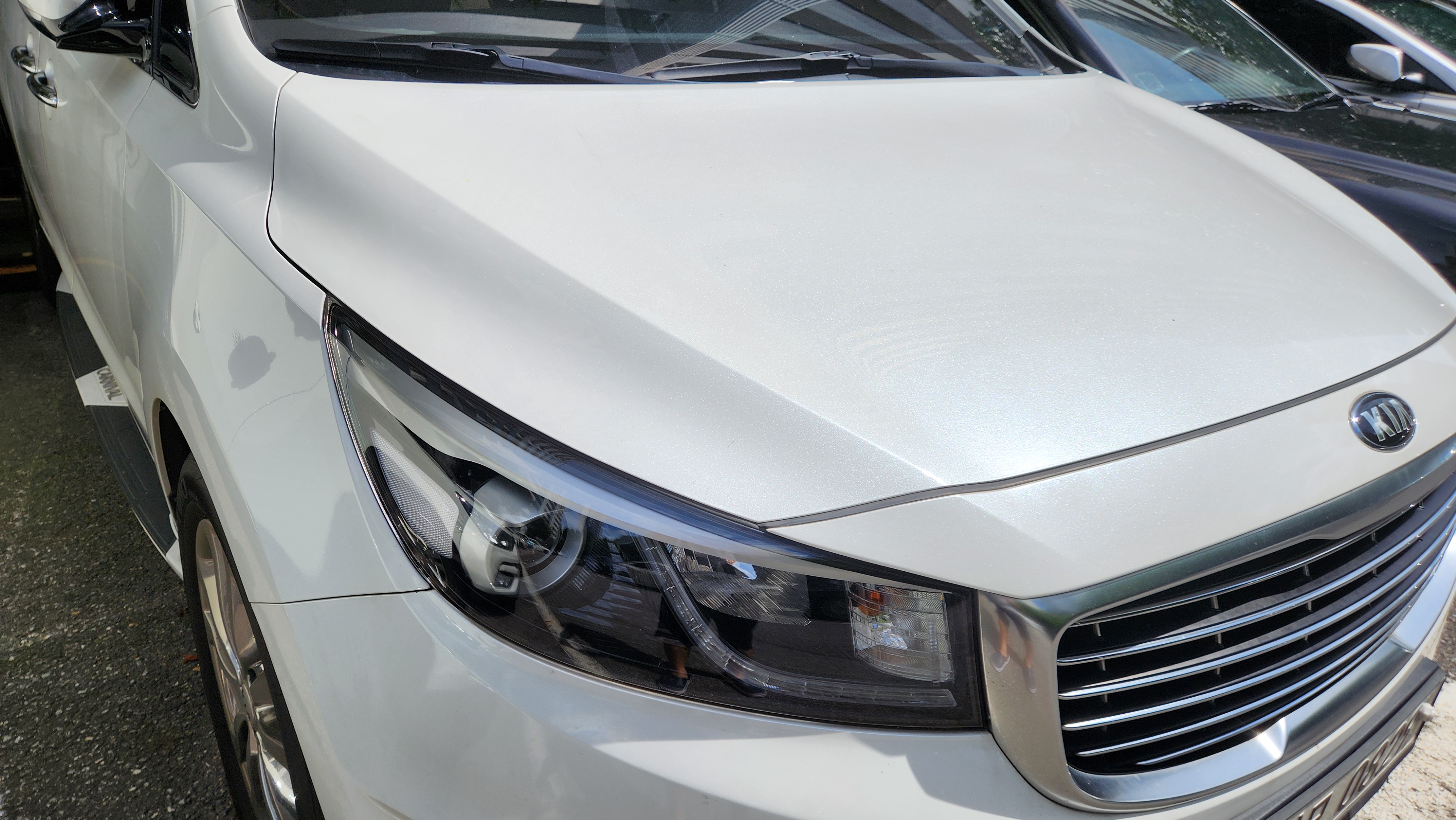 올뉴 카니발 자동차보험 갱신