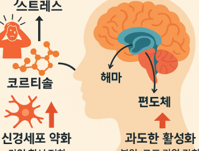 스트레스가 기억력에 미치는 생물학적 변화