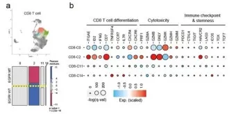 폐암 면역항암제 치료비 절반으로 줄이는 보험 활용 전략으로 실전팁_9
