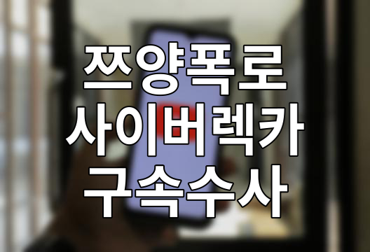쯔양 괴롭히던 사이버렉카 구제역 등 구속