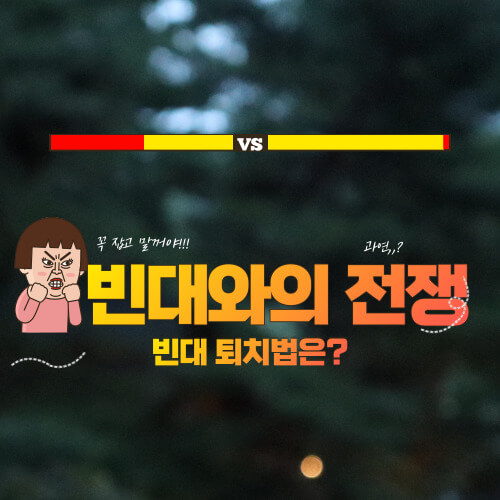 빈대와의 전쟁