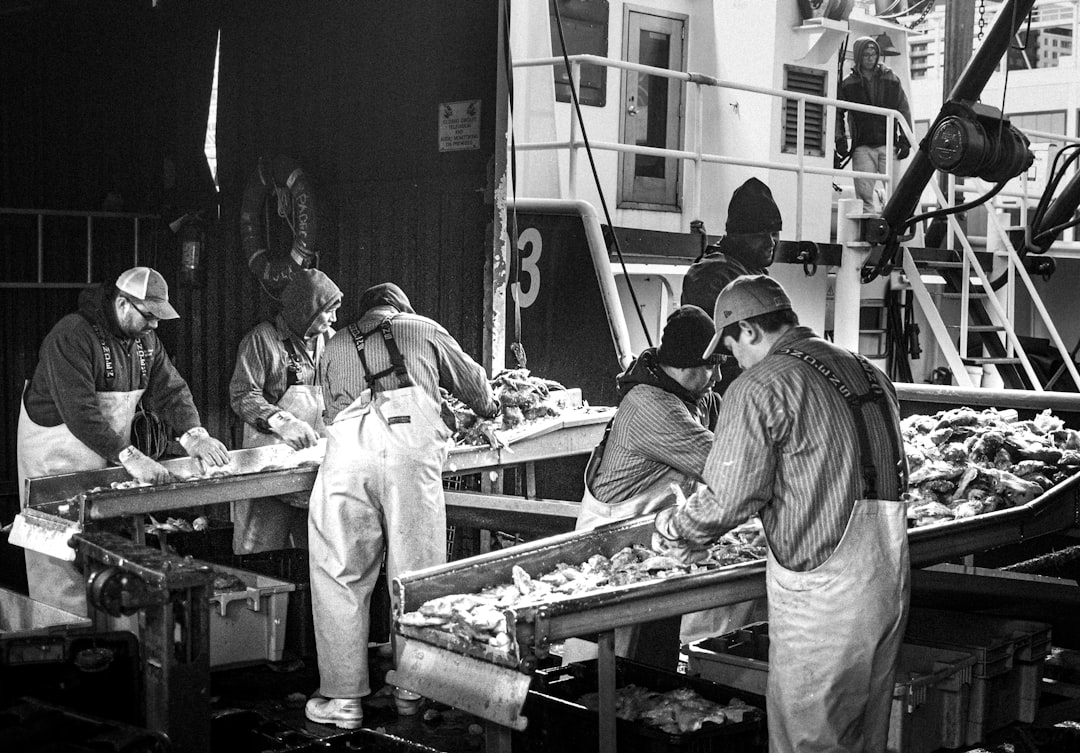 Filleting