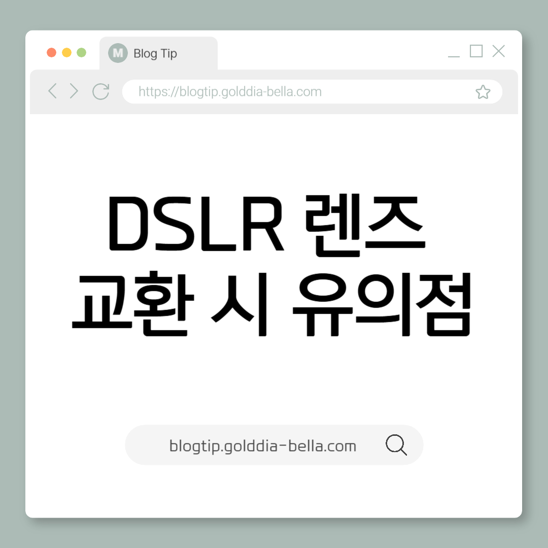 DSLR 렌즈 교환 시 유의점