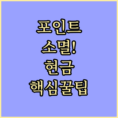 카드 포인트 현금화 필수 정보 소멸 ..