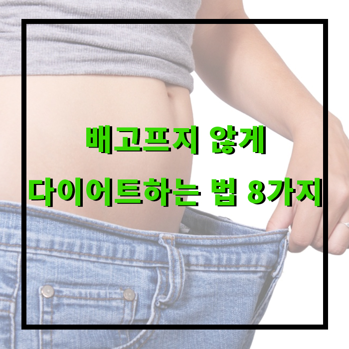 배고프지 않게 다이어트하는 법 8가지