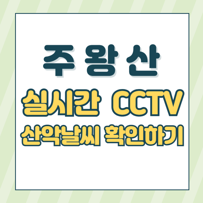 주왕산cctv