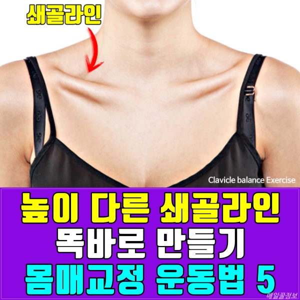쇄골라인 만들기,몸매교정,척추측만 교정 운동법