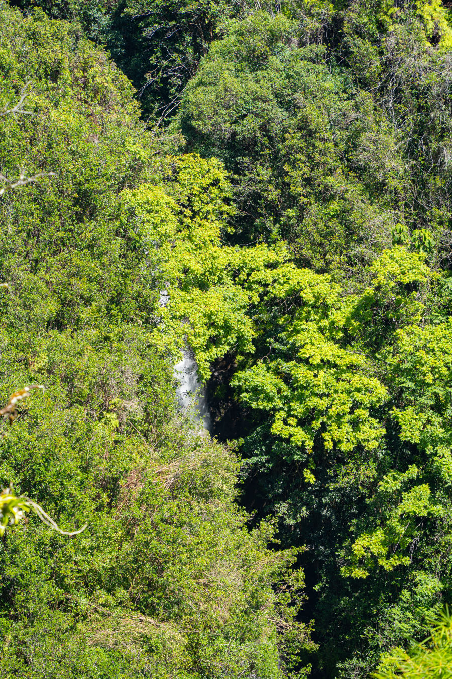 아카카 폭포 카하나 폭포