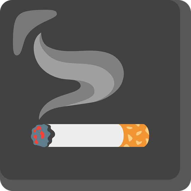 담뱃값 1만원으로 인상설의 진실은