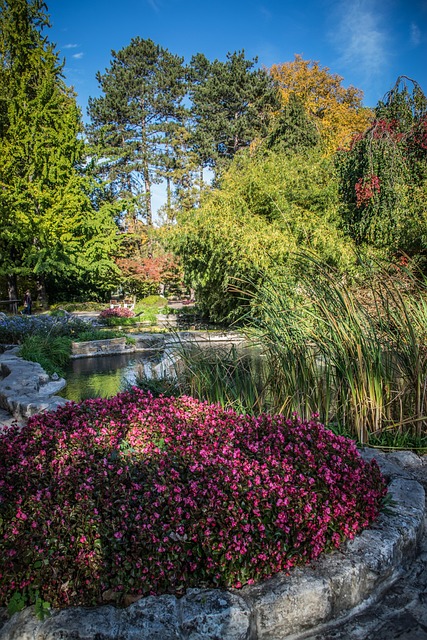 대전 유성온천 도보 나들이 #2