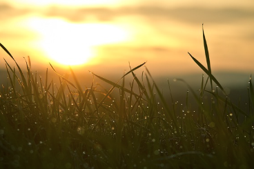 1월 인사말 모음집 카톡·문자·메일용 짧은 인사말 정리