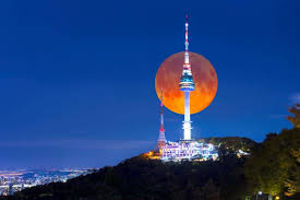 추석 열차표 예매일 바로확인