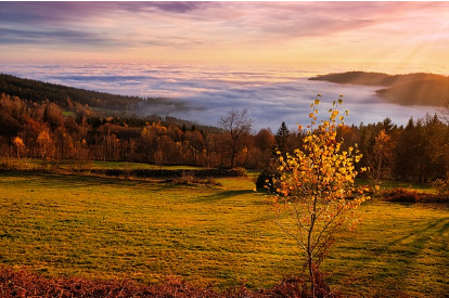 탈모치료 미녹시딜 vs 피나스테리드&amp;#44; 후기 중심 비교 리뷰