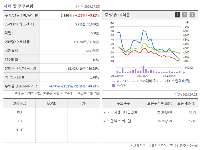 YG PLUS_기업개요