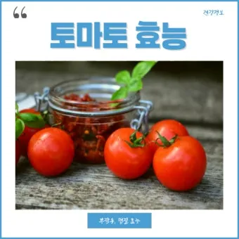 토마토 효능 항산화 작용과 피부건강 효과 정리_7